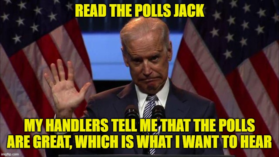 Joe Biden raise his hand | READ THE POLLS JACK MY HANDLERS TELL ME THAT THE POLLS ARE GREAT, WHICH IS WHAT I WANT TO HEAR | image tagged in joe biden raise his hand | made w/ Imgflip meme maker