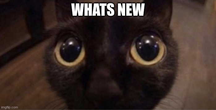 idk about jinx | WHATS NEW | image tagged in skrunkly | made w/ Imgflip meme maker
