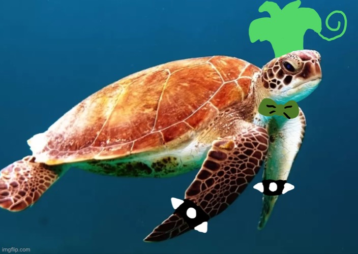 Lazy edit of Iggy as an actual sea turtle | made w/ Imgflip meme maker