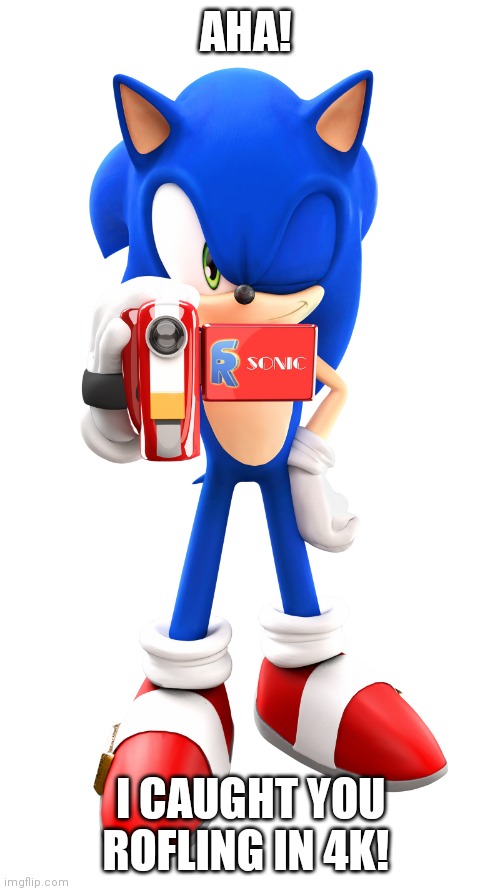Sonic the Hedgehog with a Camera | AHA! I CAUGHT YOU ROFLING IN 4K! | image tagged in sonic the hedgehog with a camera | made w/ Imgflip meme maker