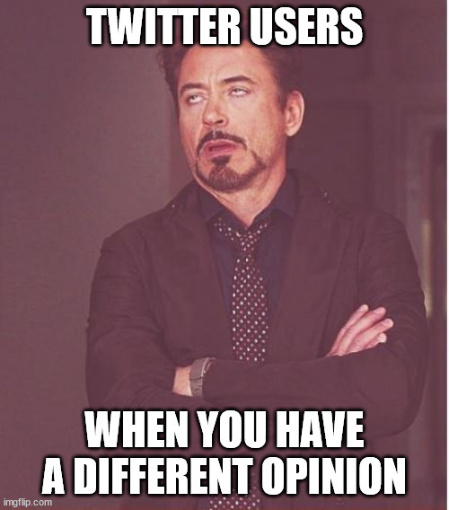 This is so fax |  TWITTER USERS; WHEN YOU HAVE A DIFFERENT OPINION | image tagged in memes,face you make robert downey jr | made w/ Imgflip meme maker