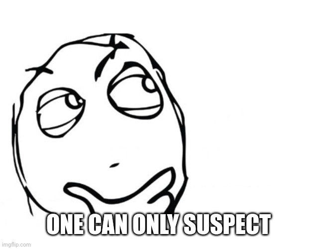 hmmm | ONE CAN ONLY SUSPECT | image tagged in hmmm | made w/ Imgflip meme maker