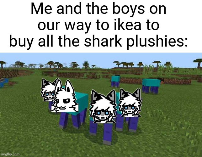 Me and the boys on our way to ikea to buy all the shark plushies: | image tagged in blank white template,me and the boys | made w/ Imgflip meme maker