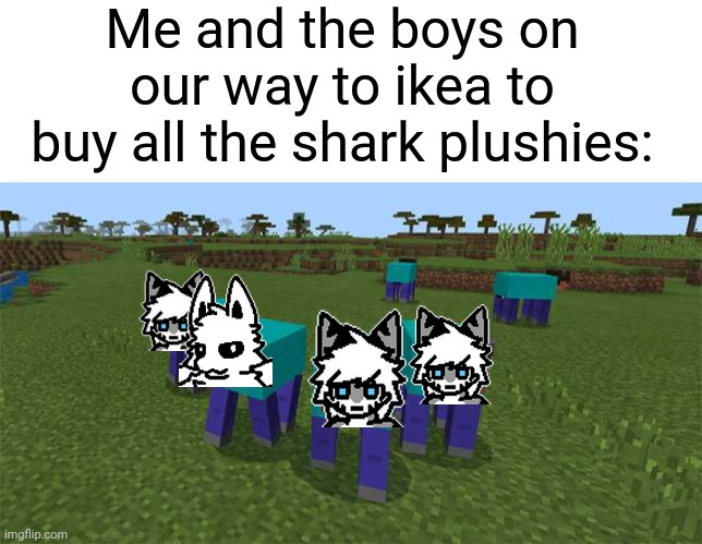 The sprites are from changed so they're made by DragonSnow (the joke is that it's me, Squid dog, and tiger skarks) | Me and the boys on our way to ikea to buy all the shark plushies: | image tagged in blank white template,me and the boys | made w/ Imgflip meme maker