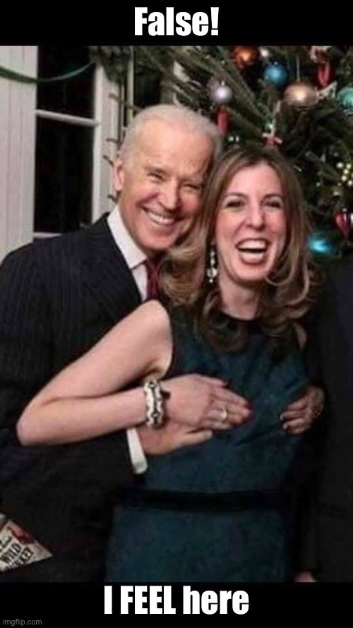 Joe Biden grope | False! I FEEL here | image tagged in joe biden grope | made w/ Imgflip meme maker