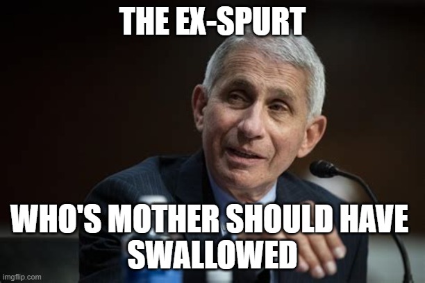 Expert | THE EX-SPURT; WHO'S MOTHER SHOULD HAVE 
SWALLOWED | image tagged in expert | made w/ Imgflip meme maker
