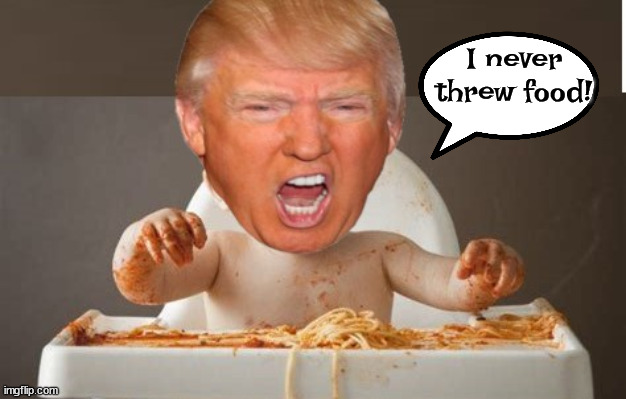 Flying food... | I never threw food! | image tagged in trump tantrum,throwing food,pig,maga,big baby | made w/ Imgflip meme maker