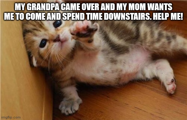 Help I don't want to socialize | MY GRANDPA CAME OVER AND MY MOM WANTS ME TO COME AND SPEND TIME DOWNSTAIRS. HELP ME! | image tagged in help me kitten | made w/ Imgflip meme maker