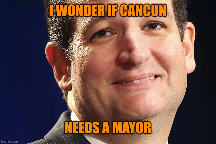 Ted Cruz | I WONDER IF CANCUN NEEDS A MAYOR | image tagged in ted cruz | made w/ Imgflip meme maker