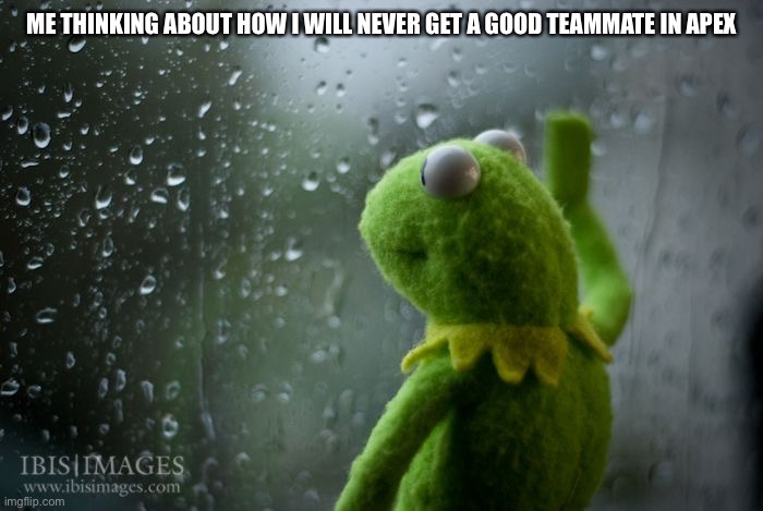 Sadness | ME THINKING ABOUT HOW I WILL NEVER GET A GOOD TEAMMATE IN APEX | image tagged in kermit window | made w/ Imgflip meme maker