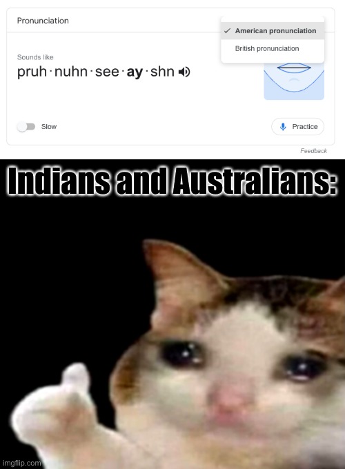 when you want to learn how to speak in an australian acccent | Indians and Australians: | image tagged in sad cat thumbs up | made w/ Imgflip meme maker