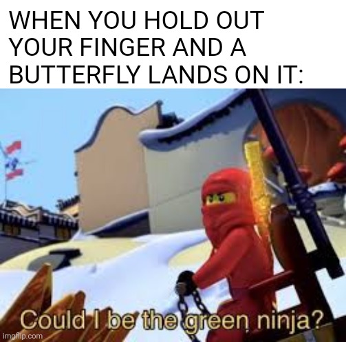 Image tittle |  WHEN YOU HOLD OUT YOUR FINGER AND A BUTTERFLY LANDS ON IT: | image tagged in could i be the green ninja,butterfly | made w/ Imgflip meme maker