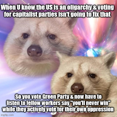 When U know the US is an oligarchy & voting for capitalist parties isn't going to fix that; So you vote Green Party & now have to listen to fellow workers say "you'll never win" while they actively vote for their own oppression | image tagged in raccoon,oligarchy,capitalism,green party | made w/ Imgflip meme maker