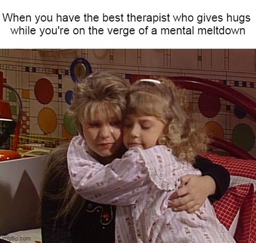 When you have the best therapist who gives hugs 
while you're on the verge of a mental meltdown | image tagged in meme,memes,humor,relatable,therapy | made w/ Imgflip meme maker