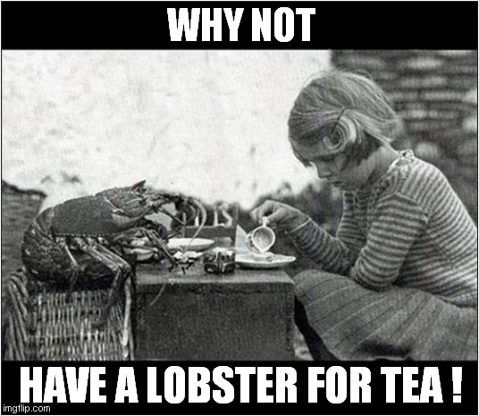 Fancy Something Different ? | WHY NOT; HAVE A LOBSTER FOR TEA ! | image tagged in fun,lobster,tea | made w/ Imgflip meme maker