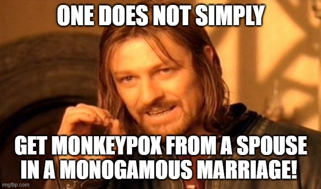 Are You At Risk For Monkeypox? | ONE DOES NOT SIMPLY; GET MONKEYPOX FROM A SPOUSE IN A MONOGAMOUS MARRIAGE! | image tagged in memes,one does not simply,monkeypox,so true memes,healthcare,politically incorrect | made w/ Imgflip meme maker