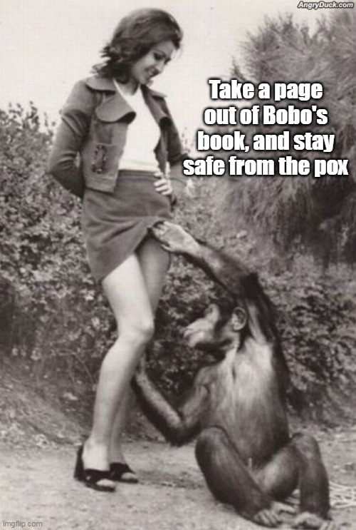 Take a page out of Bobo's book, and stay safe from the pox | made w/ Imgflip meme maker
