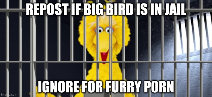 lol | REPOST IF BIG BIRD IS IN JAIL; IGNORE FOR FURRY P0RN | image tagged in memes,funny,big bird,anti yiff,yiff sucks,stop reading the tags | made w/ Imgflip meme maker