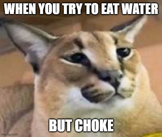 Confused Floppa | WHEN YOU TRY TO EAT WATER; BUT CHOKE | image tagged in confused floppa | made w/ Imgflip meme maker