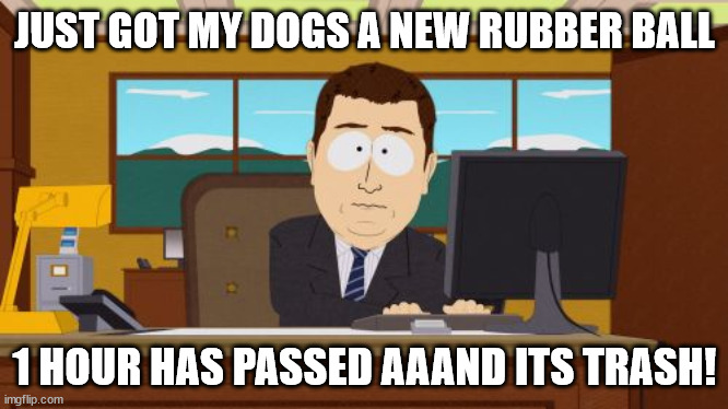 new ball aaand its trash |  JUST GOT MY DOGS A NEW RUBBER BALL; 1 HOUR HAS PASSED AAAND ITS TRASH! | image tagged in memes,aaaaand its gone | made w/ Imgflip meme maker