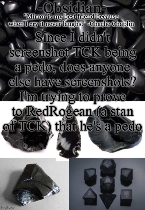 Obsidian | Since I didn't screenshot TCK being a pedo, does anyone else have screenshots? I'm trying to prove to RedRogean (a stan of TCK) that he's a pedo | image tagged in obsidian | made w/ Imgflip meme maker