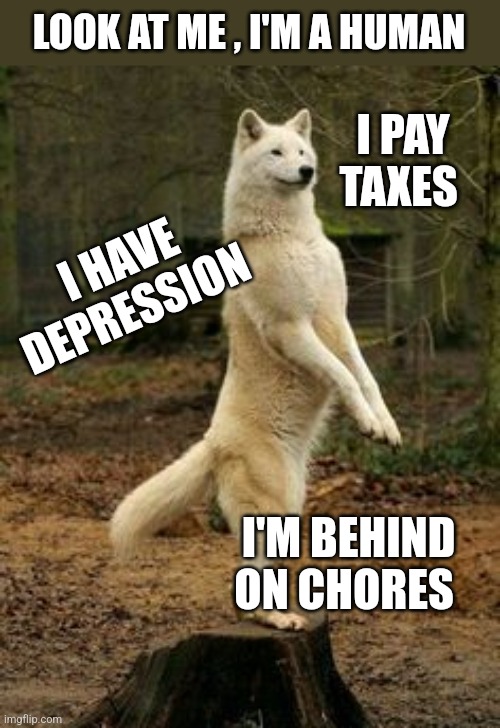 LOOK AT ME , I'M A HUMAN; I PAY TAXES; I HAVE DEPRESSION; I'M BEHIND ON CHORES | image tagged in funny memes | made w/ Imgflip meme maker