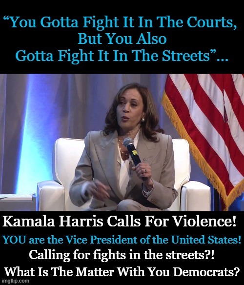 Democrats are prone to violence if they don't 'get their way' & we have experienced it too many times! | Calling for fights in the streets?! | image tagged in politics,democrats,emotional,misfits,spoiled brats,kamala harris | made w/ Imgflip meme maker