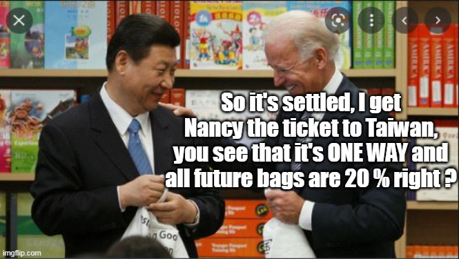 Even I'll chip in if he can get Schumer on that plane | So it's settled, I get Nancy the ticket to Taiwan, you see that it's ONE WAY and all future bags are 20 % right ? | image tagged in same military that did afghanistan says it's not safe for her | made w/ Imgflip meme maker