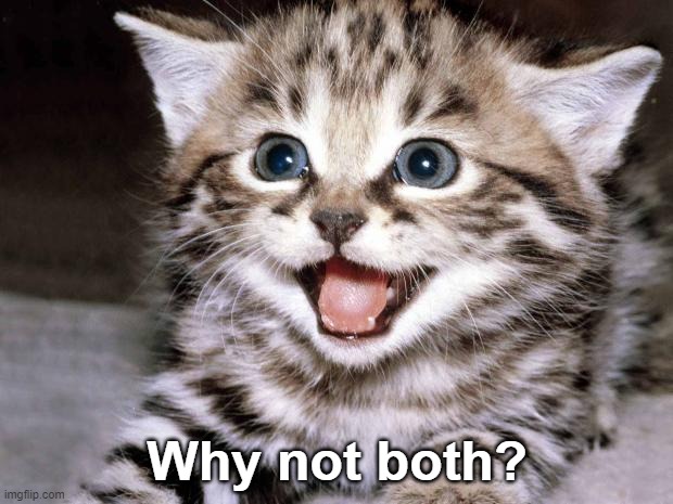 Uber Cute Cat | Why not both? | image tagged in uber cute cat | made w/ Imgflip meme maker