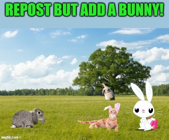 bunnies | image tagged in bunny,repost | made w/ Imgflip meme maker