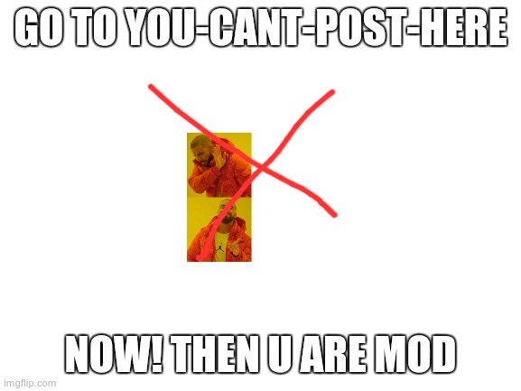 What | GO TO YOU-CANT-POST-HERE; NOW! THEN U ARE MOD | image tagged in blank white template | made w/ Imgflip meme maker