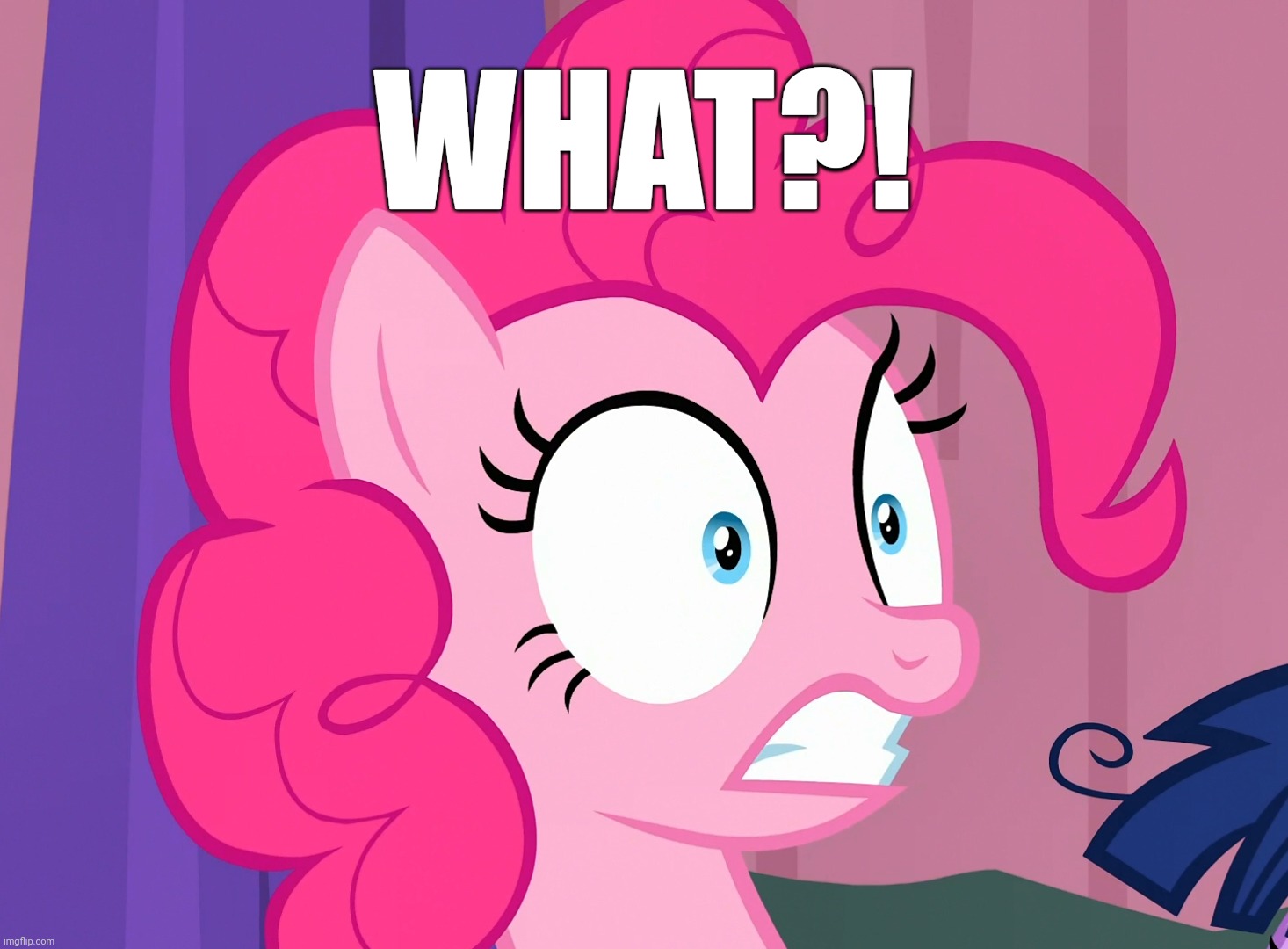 WHAT?! | WHAT?! | image tagged in pinkie pie,reaction,my little pony friendship is magic | made w/ Imgflip meme maker