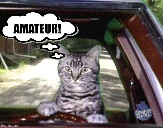 Toonsis the cat that could drive | AMATEUR! | image tagged in toonsis the cat that could drive | made w/ Imgflip meme maker