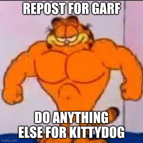 Buff garfield | REPOST FOR GARF; DO ANYTHING ELSE FOR KITTYDOG | image tagged in buff garfield | made w/ Imgflip meme maker