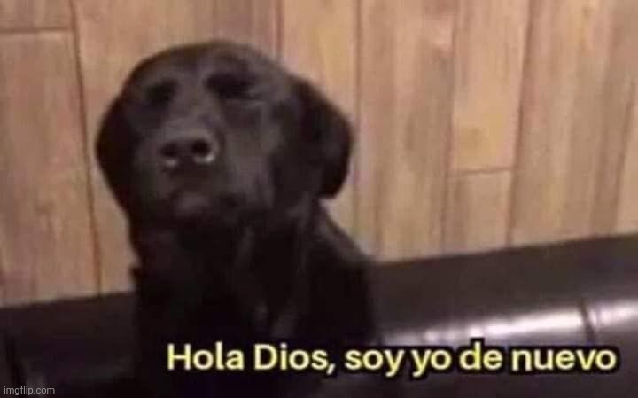 Hola Dios, soy yo de nuevo | image tagged in hola dios soy yo de nuevo | made w/ Imgflip meme maker