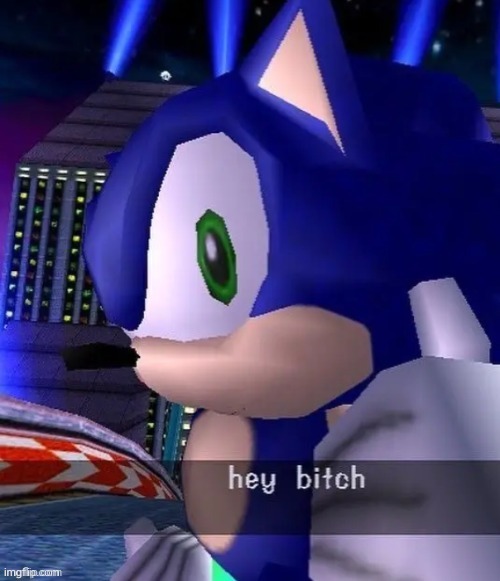 sonic hey bitch | image tagged in sonic hey bitch | made w/ Imgflip meme maker