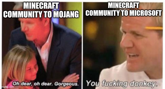 Blame Microsoft | MINECRAFT COMMUNITY TO MOJANG; MINECRAFT COMMUNITY TO MICROSOFT | image tagged in oh dear dear gorgeus | made w/ Imgflip meme maker