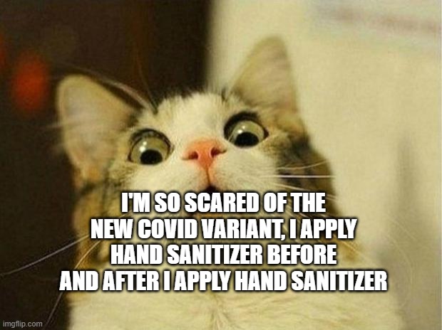Scared Cat | I'M SO SCARED OF THE NEW COVID VARIANT, I APPLY HAND SANITIZER BEFORE AND AFTER I APPLY HAND SANITIZER | image tagged in memes,scared cat | made w/ Imgflip meme maker