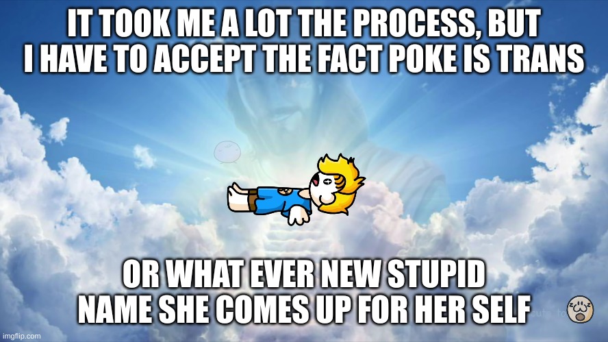 the apotheosis of Bryson | IT TOOK ME A LOT THE PROCESS, BUT I HAVE TO ACCEPT THE FACT POKE IS TRANS; OR WHAT EVER NEW STUPID NAME SHE COMES UP FOR HER SELF | image tagged in the apotheosis of bryson | made w/ Imgflip meme maker