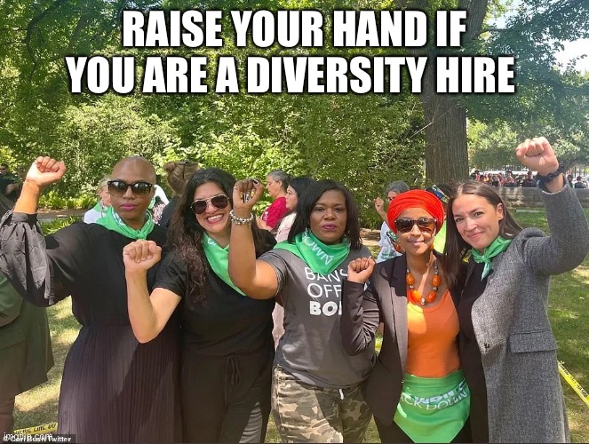 Diversity Hires | RAISE YOUR HAND IF YOU ARE A DIVERSITY HIRE | image tagged in diversity sucks dick,aoc,the squad,ilhan the terrorist,what is that smell | made w/ Imgflip meme maker