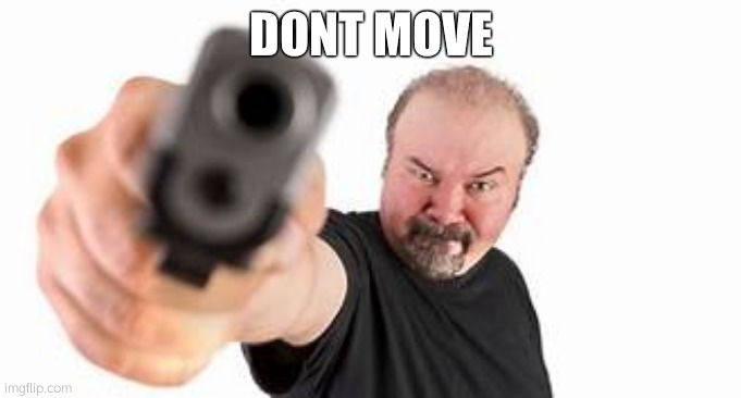 Gun point | DONT MOVE | image tagged in gun point | made w/ Imgflip meme maker