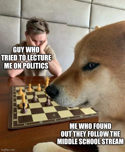 Regardless of party whoever does this is dumb | GUY WHO TRIED TO LECTURE ME ON POLITICS; ME WHO FOUND OUT THEY FOLLOW THE MIDDLE SCHOOL STREAM | image tagged in chess doge | made w/ Imgflip meme maker