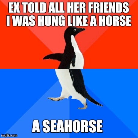 Socially Awesome Awkward Penguin Meme | EX TOLD ALL HER FRIENDS I WAS HUNG LIKE A HORSE  A SEAHORSE | image tagged in memes,socially awesome awkward penguin,AdviceAnimals | made w/ Imgflip meme maker