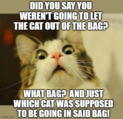 What Did You Say 2 | DID YOU SAY YOU WEREN'T GOING TO LET THE CAT OUT OF THE BAG? WHAT BAG?  AND JUST WHICH CAT WAS SUPPOSED TO BE GOING IN SAID BAG! | image tagged in memes,cats,cat memes,funny cat memes,humor,lol | made w/ Imgflip meme maker