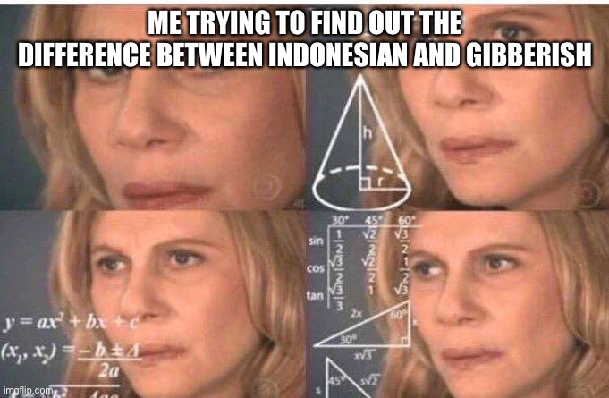 Math lady/Confused lady | ME TRYING TO FIND OUT THE DIFFERENCE BETWEEN INDONESIAN AND GIBBERISH | image tagged in math lady/confused lady | made w/ Imgflip meme maker