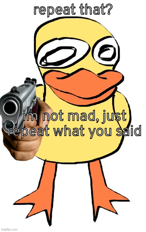 im not mad | repeat that? im not mad, just repeat what you said | image tagged in duck | made w/ Imgflip meme maker