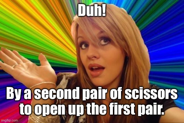 Dumb Blonde Meme | Duh! By a second pair of scissors to open up the first pair. | image tagged in memes,dumb blonde | made w/ Imgflip meme maker