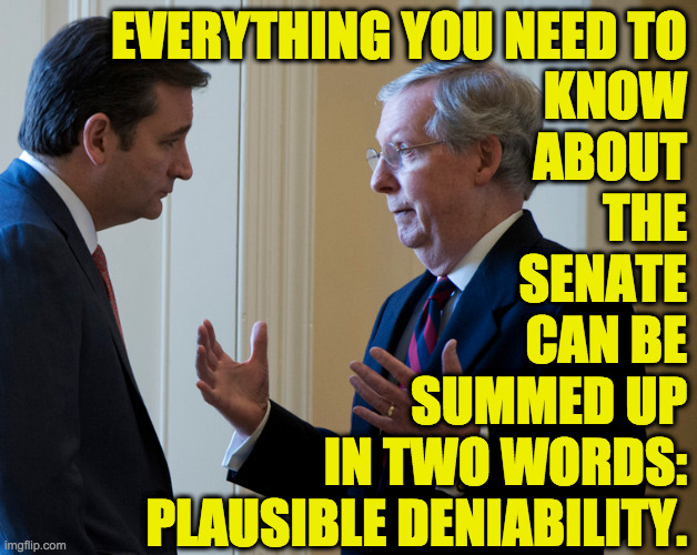 Mentoring. | EVERYTHING YOU NEED TO
KNOW
ABOUT
THE
SENATE
CAN BE
SUMMED UP
IN TWO WORDS:
PLAUSIBLE DENIABILITY. | image tagged in memes,mitch and ted,mentoring | made w/ Imgflip meme maker