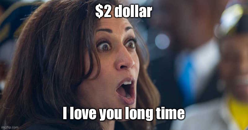 kamala harriss | $2 dollar I love you long time | image tagged in kamala harriss | made w/ Imgflip meme maker