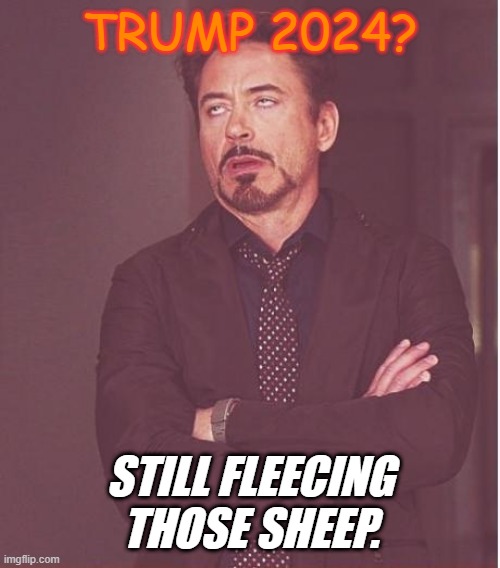 Fleecing the Sheep | TRUMP 2024? STILL FLEECING THOSE SHEEP. | image tagged in memes,face you make robert downey jr | made w/ Imgflip meme maker